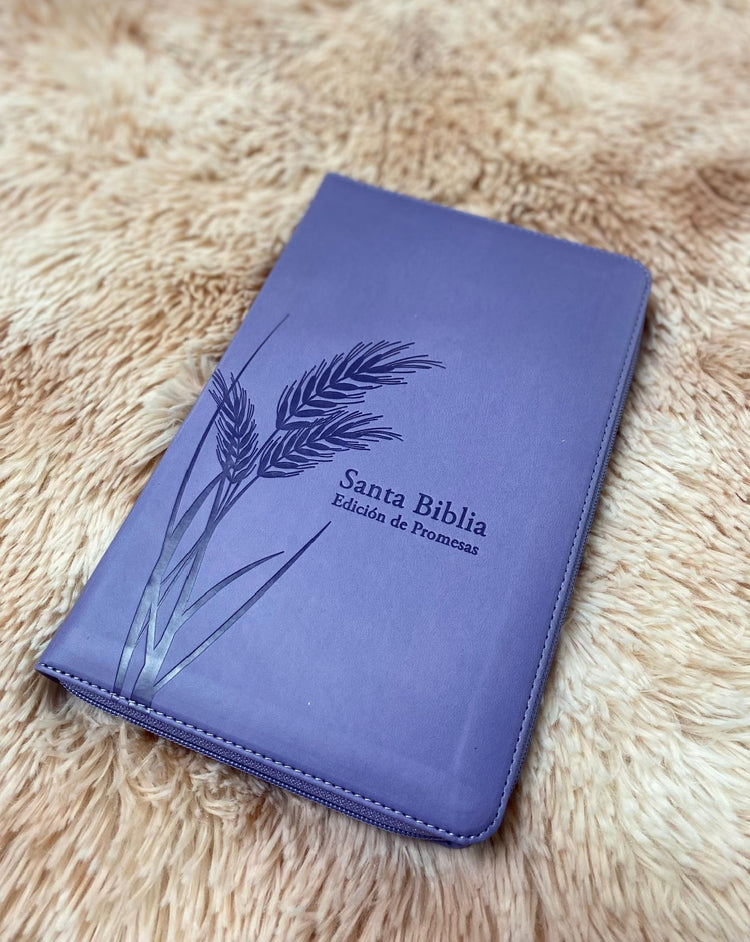 Biblias de promesas