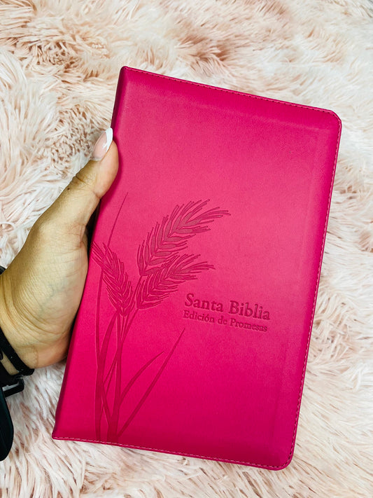 Biblia de promesas símil piel con cierre y canto plateado versión RV1960 letra grande 12 puntos color fucsia