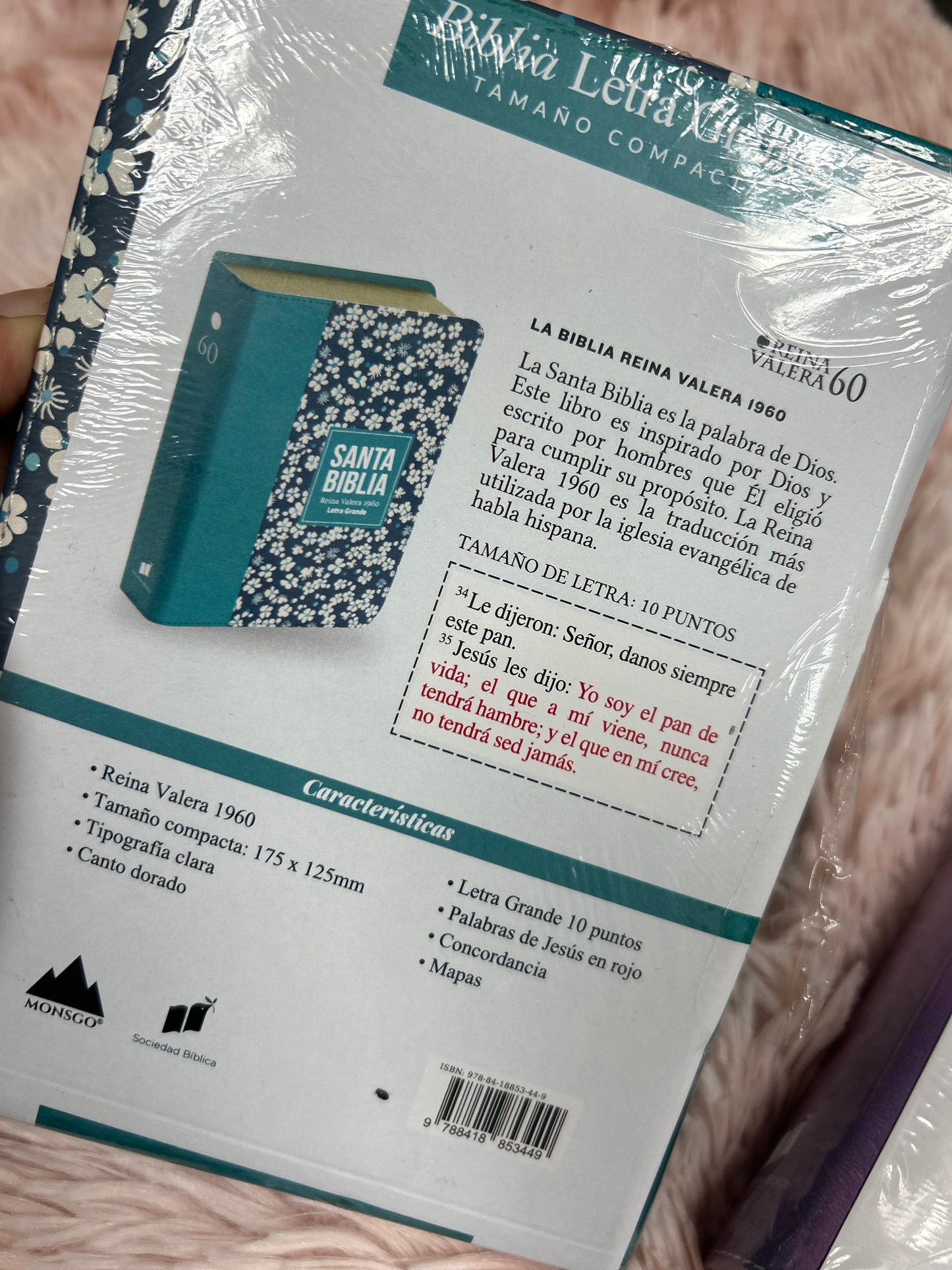 Biblia versión RV1960 letra grande 10 puntos tamaño compacta palabras de Jesús en rojo canto plateado y concordancia floreado turquesa