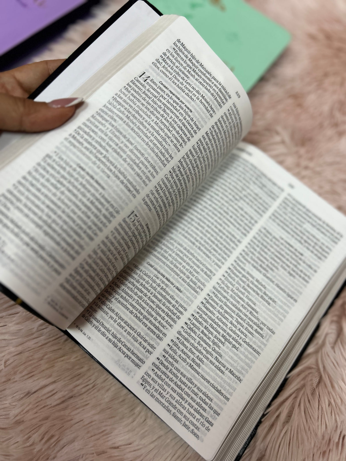 Biblia de letra grande 11,5 puntos en símil piel canto pintado palabras de Jesús en rojo y concordancia
