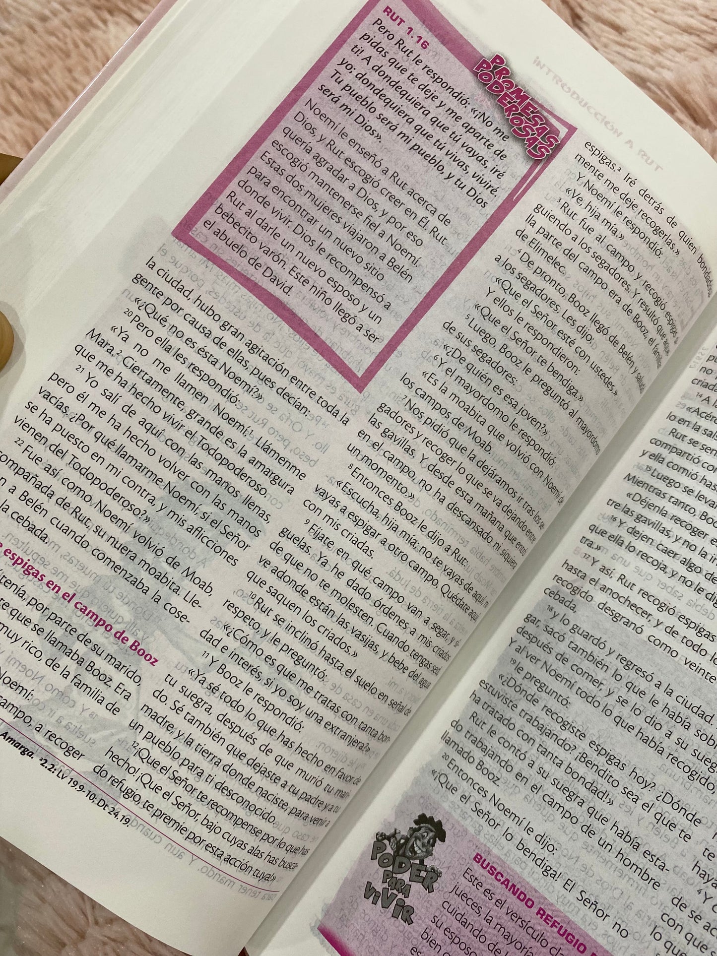 Biblia de estudio de la vida plena para niñas en RVC: reina Valera contemporánea