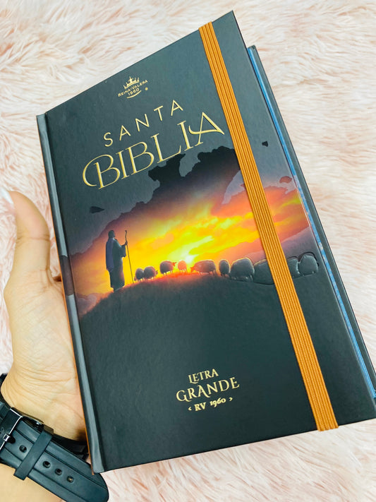 Biblia versión RV1960 de tapa dura diseño en relieve de letra grande 12 puntos con canto pintado, liga, palabras de Jesús en rojo con concordancia