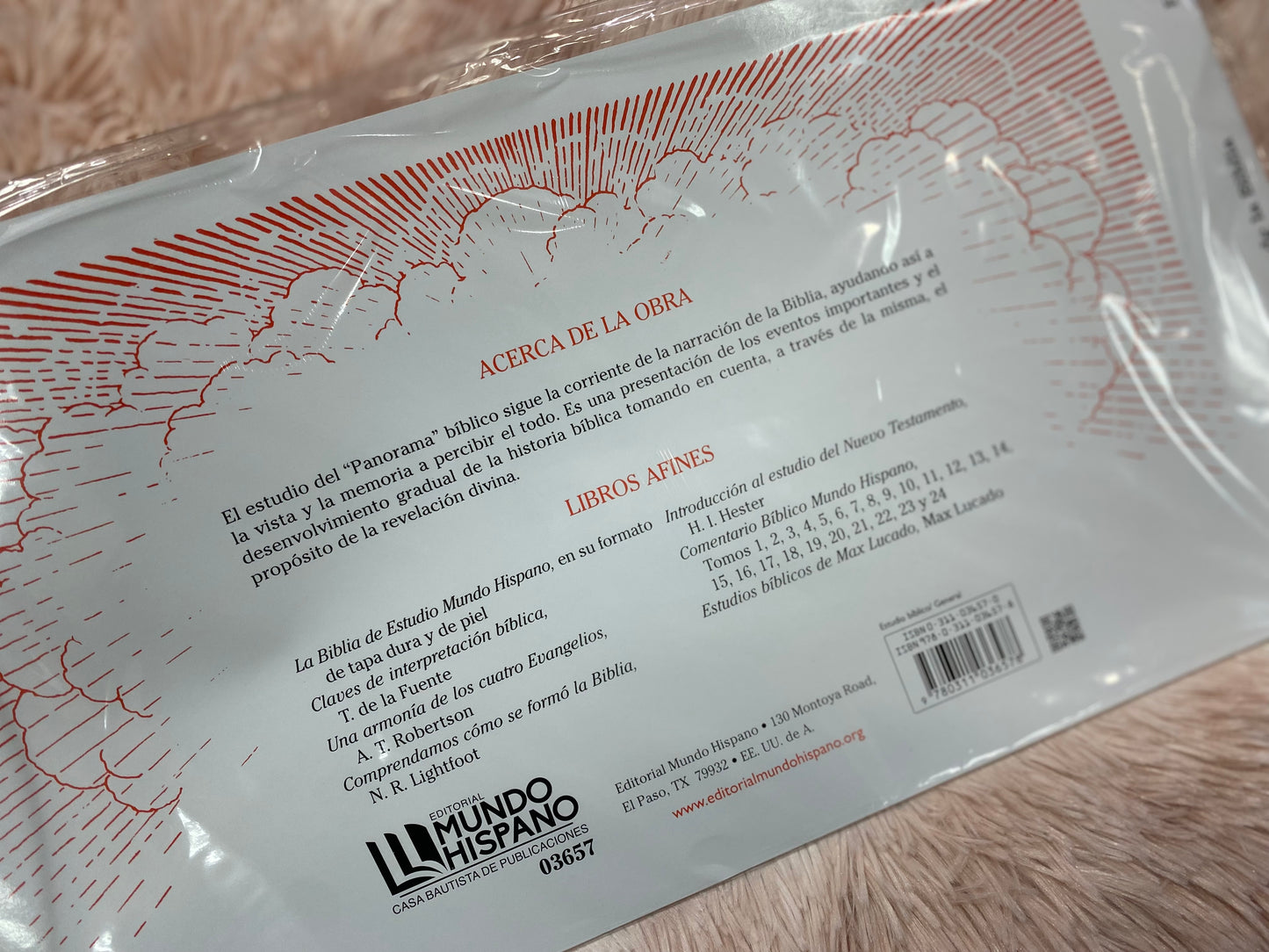 Panorama de la biblia curso de estudio