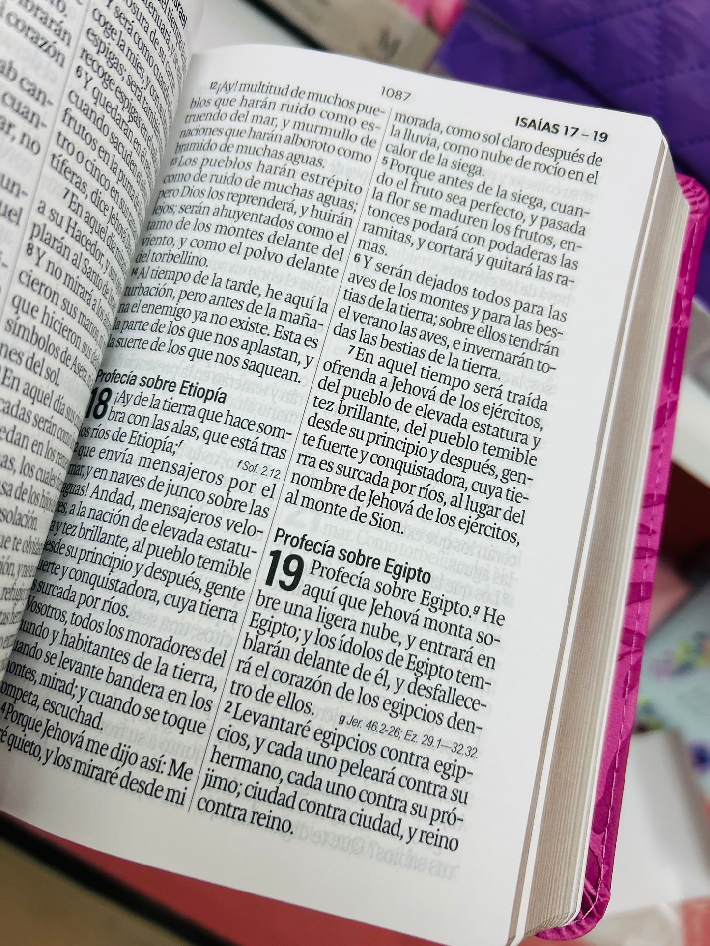 Biblia de letra grande de 12 puntos en símil piel canto dorado versión RV1960 palabras de Jesús en rojo y concordancia