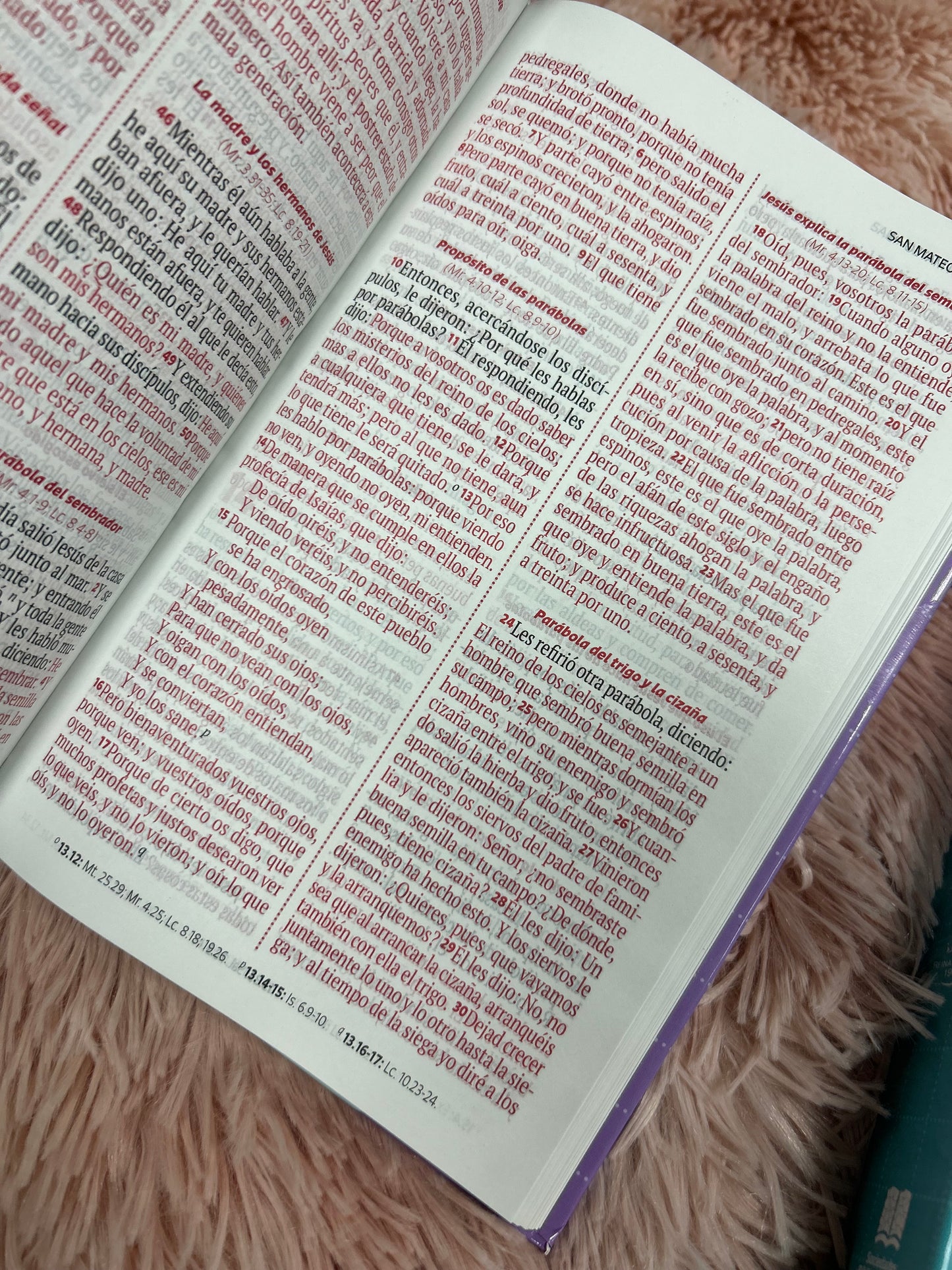Biblia tapa dura en versión RV1960 letra grande palabras de Jesús en rojo tamaño manual