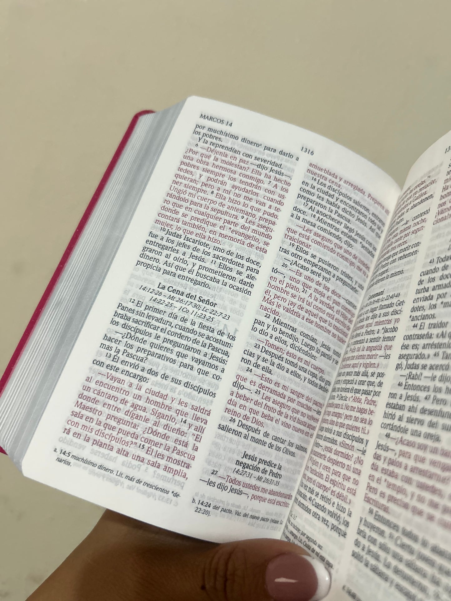 Biblia letra grande tamaño compacto versión NVI canto plateado palabras de Jesús en rojo