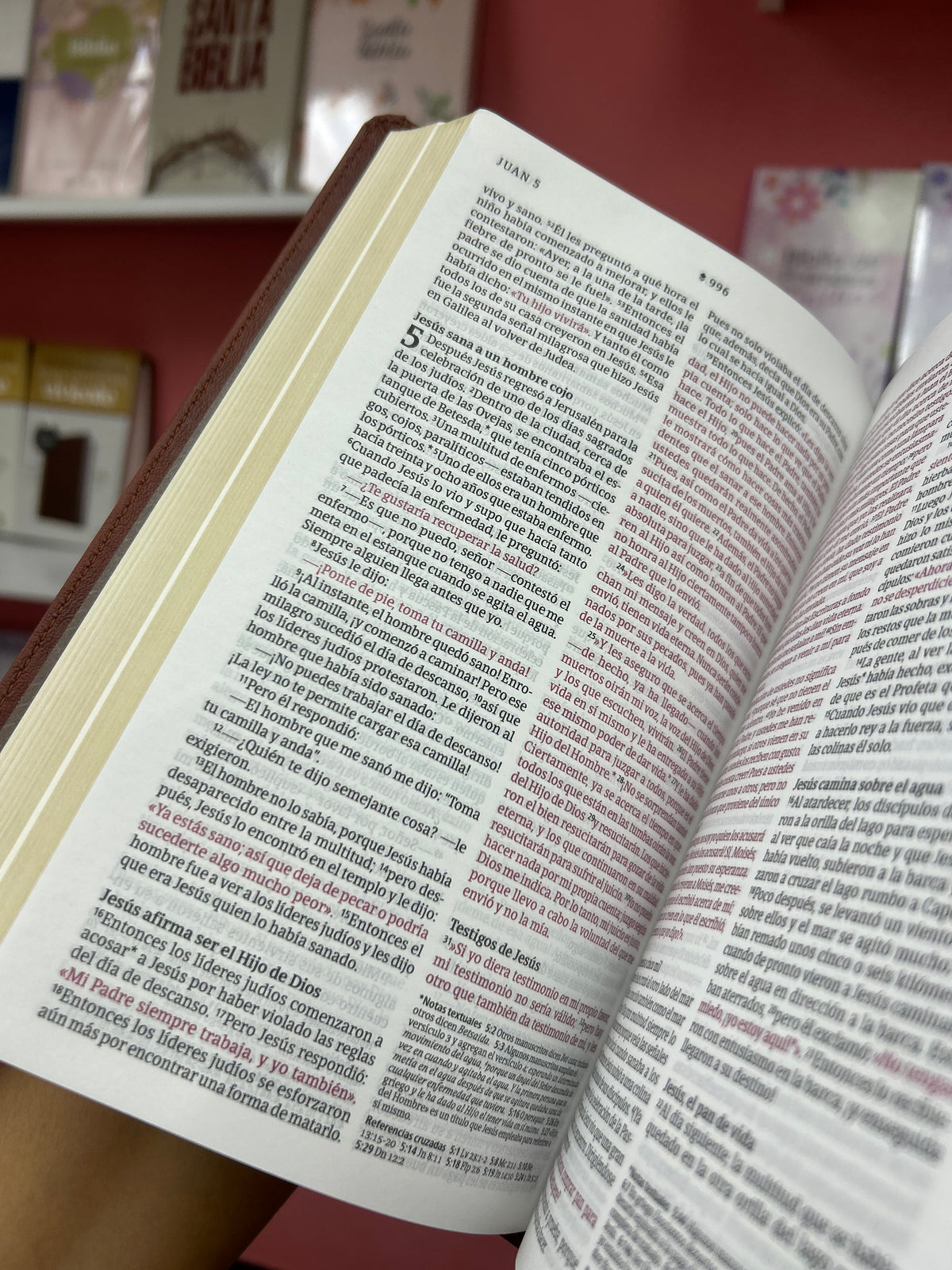 Biblia ultra fina canto dorado versión NTV símil piel letra mediana