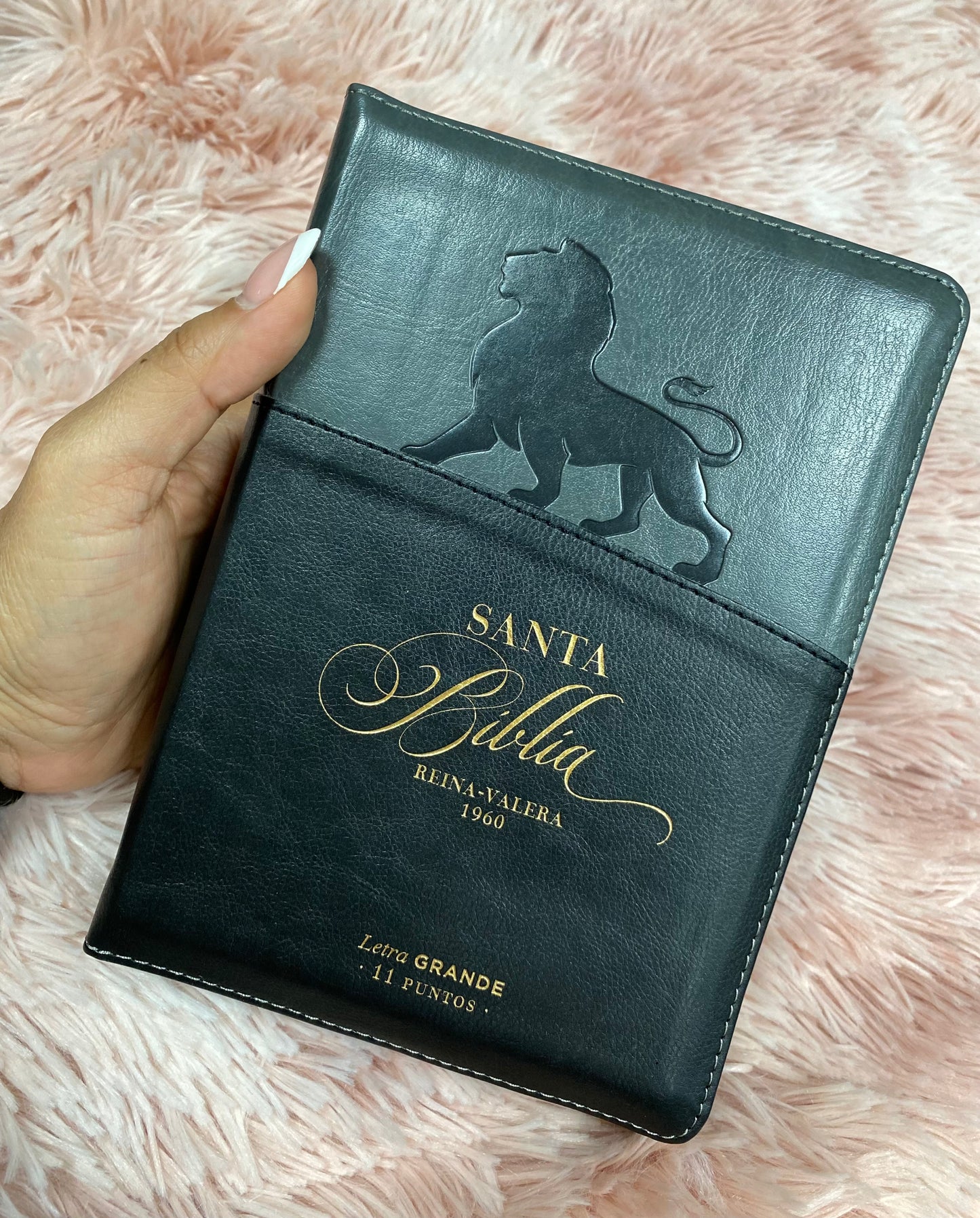 Biblia mediana de letra grande 11 puntos con cierre e índice versión RV1960 canto dorado palabras de Jesús en rojo y concordancia