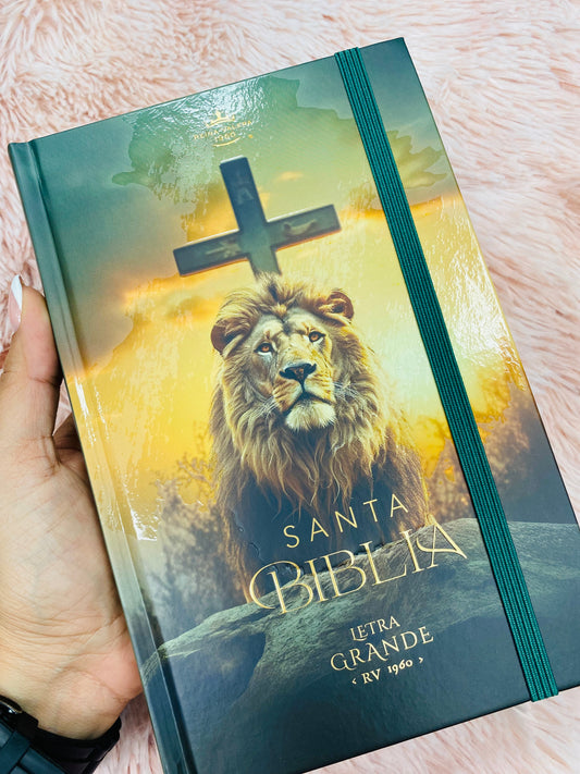 Biblia versión RV1960 de tapa dura diseño en relieve de letra grande 12 puntos con canto pintado, liga, palabras de Jesús en rojo con concordancia