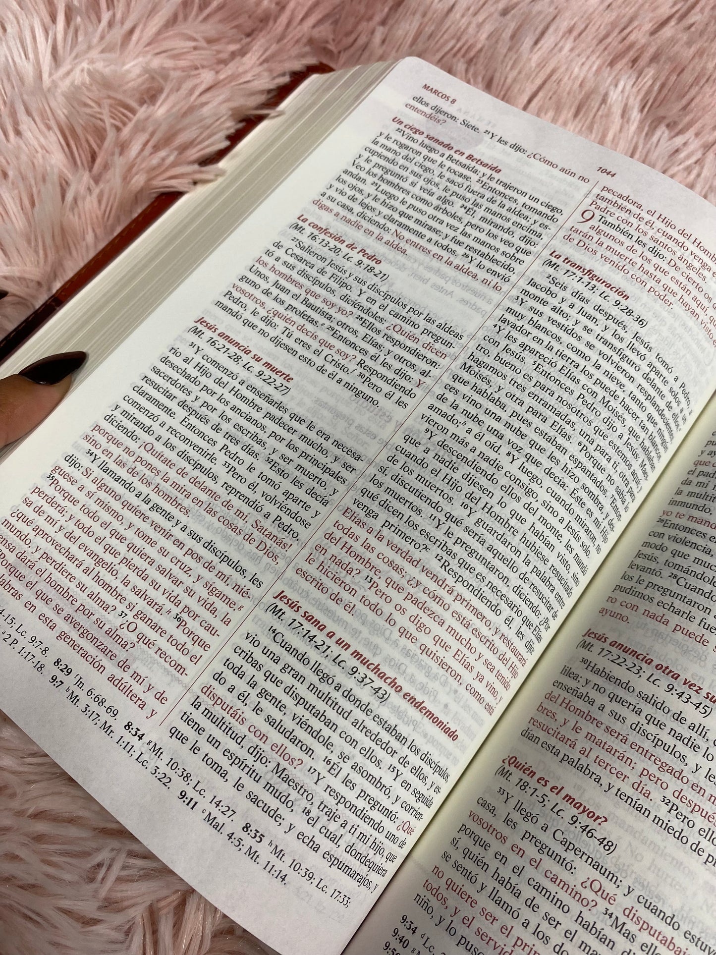 Biblia devocional los lenguajes del amor de Gary Chapman versión RV1960