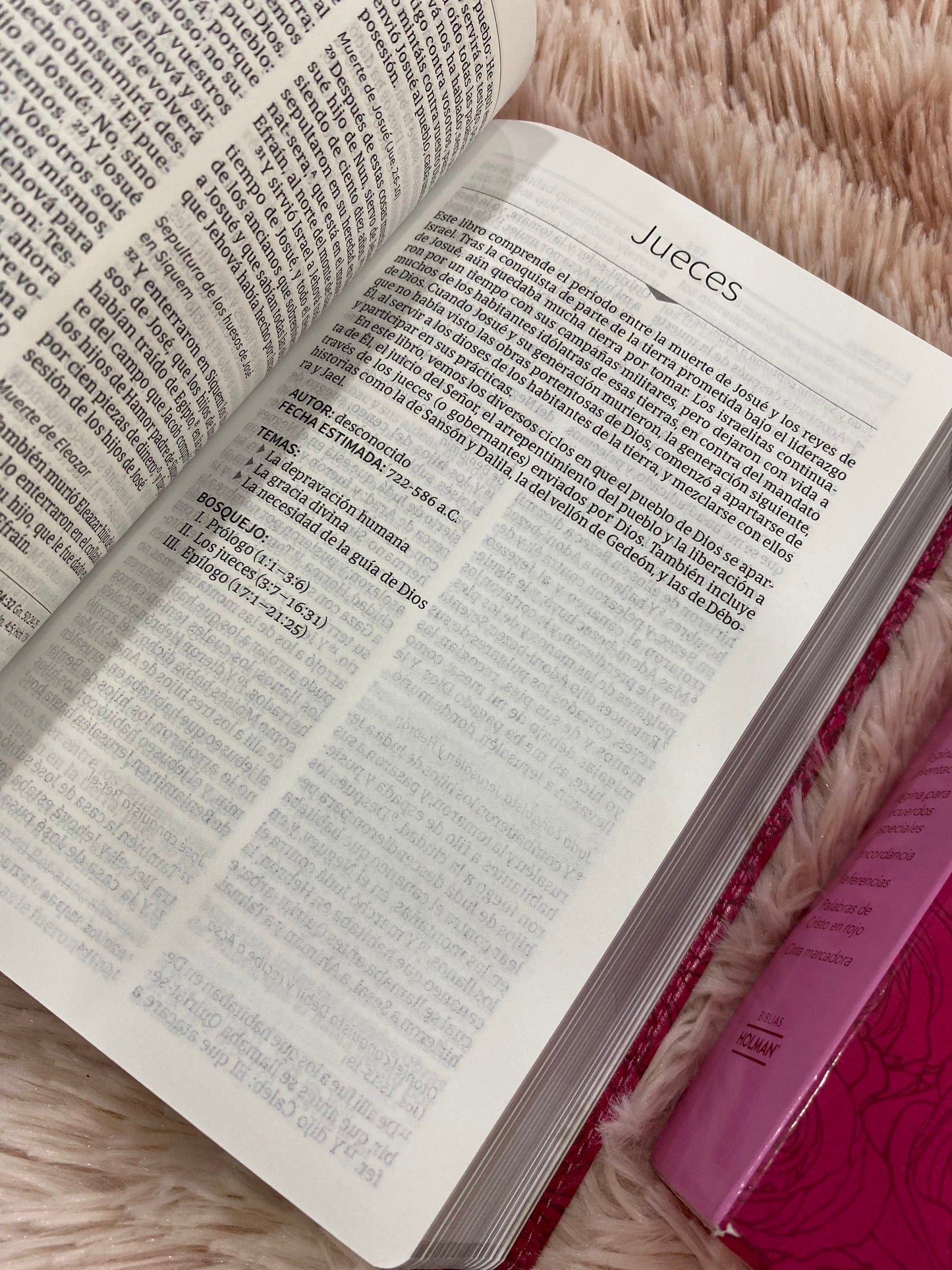 Biblia quinceañera en símil piel con relieve en versión RV1960