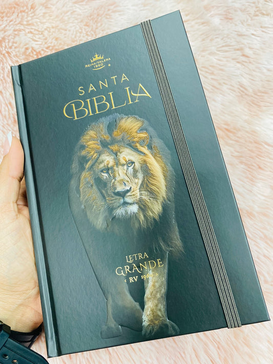 Biblia versión RV1960 de tapa dura diseño en relieve de letra grande 12 puntos con canto pintado, liga, palabras de Jesús en rojo con concordancia