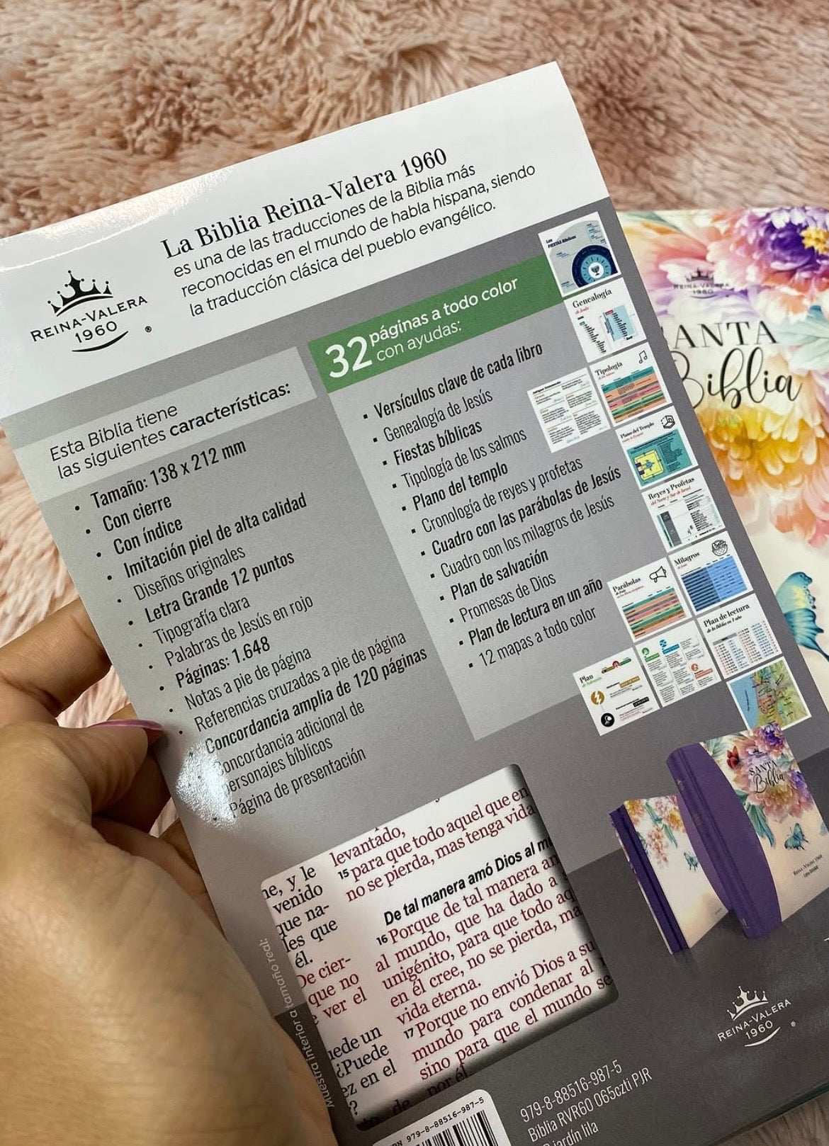 Biblia versión RV1960 letra grande 12 puntos con cierre índice canto pintado palabras de Jesús en rojo