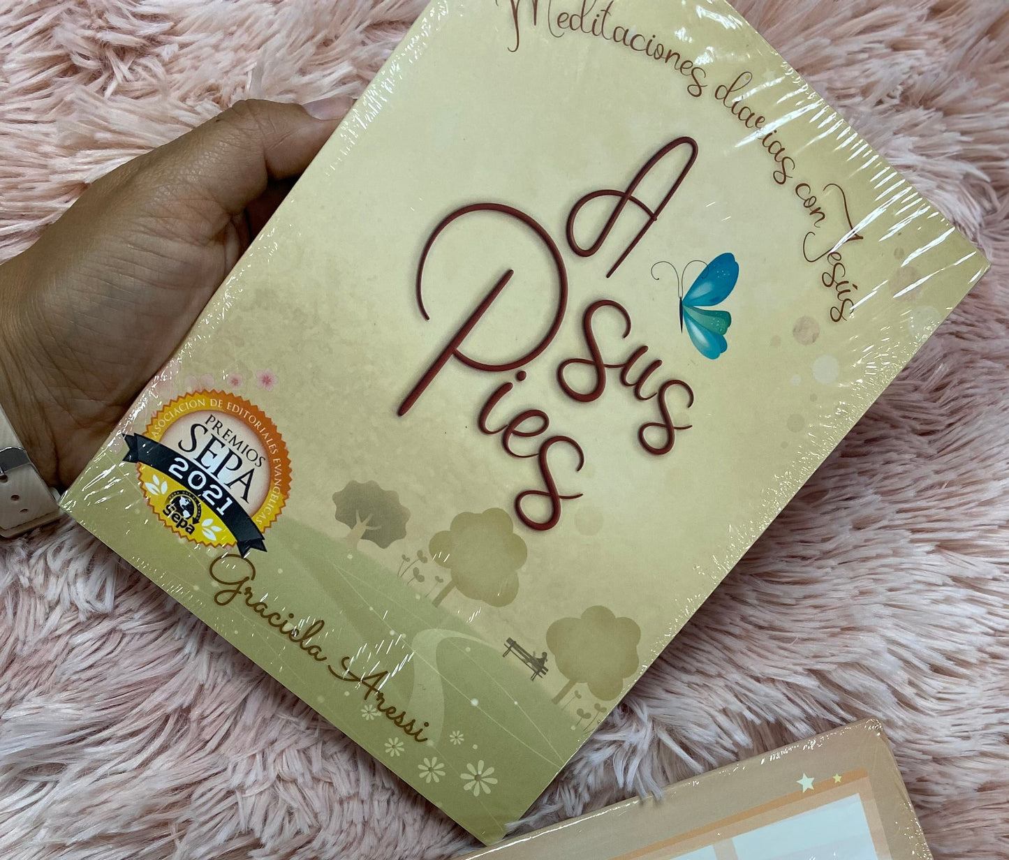 Libro devocional: Meditaciones diarias con Jesús a sus pies de Graciela Aressi tapa sencilla