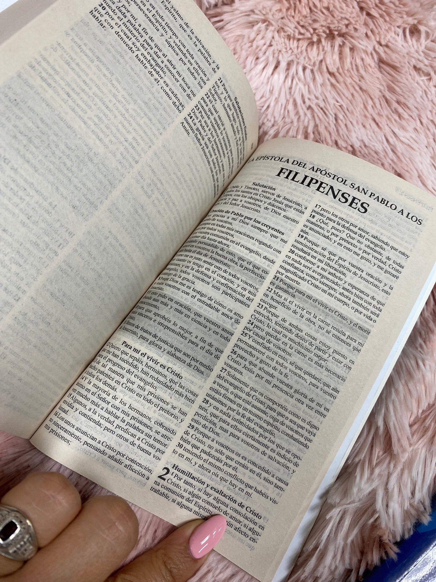 Biblias económicas tapa rústica papel imprenta versión RV1960 edición biblia de promesas