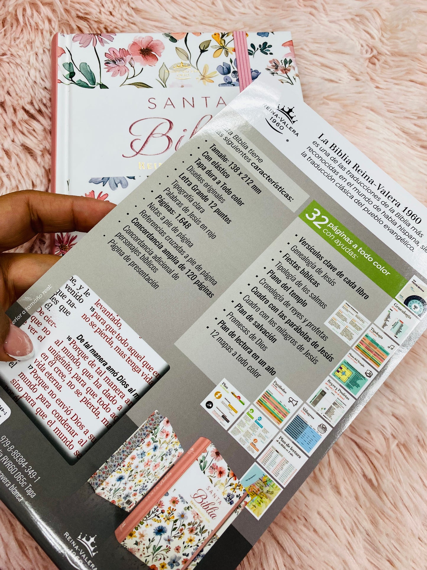 Biblia versión RV1960 de tapa dura diseño en relieve de letra grande 12 puntos con canto pintado, liga, palabras de Jesús en rojo con concordancia