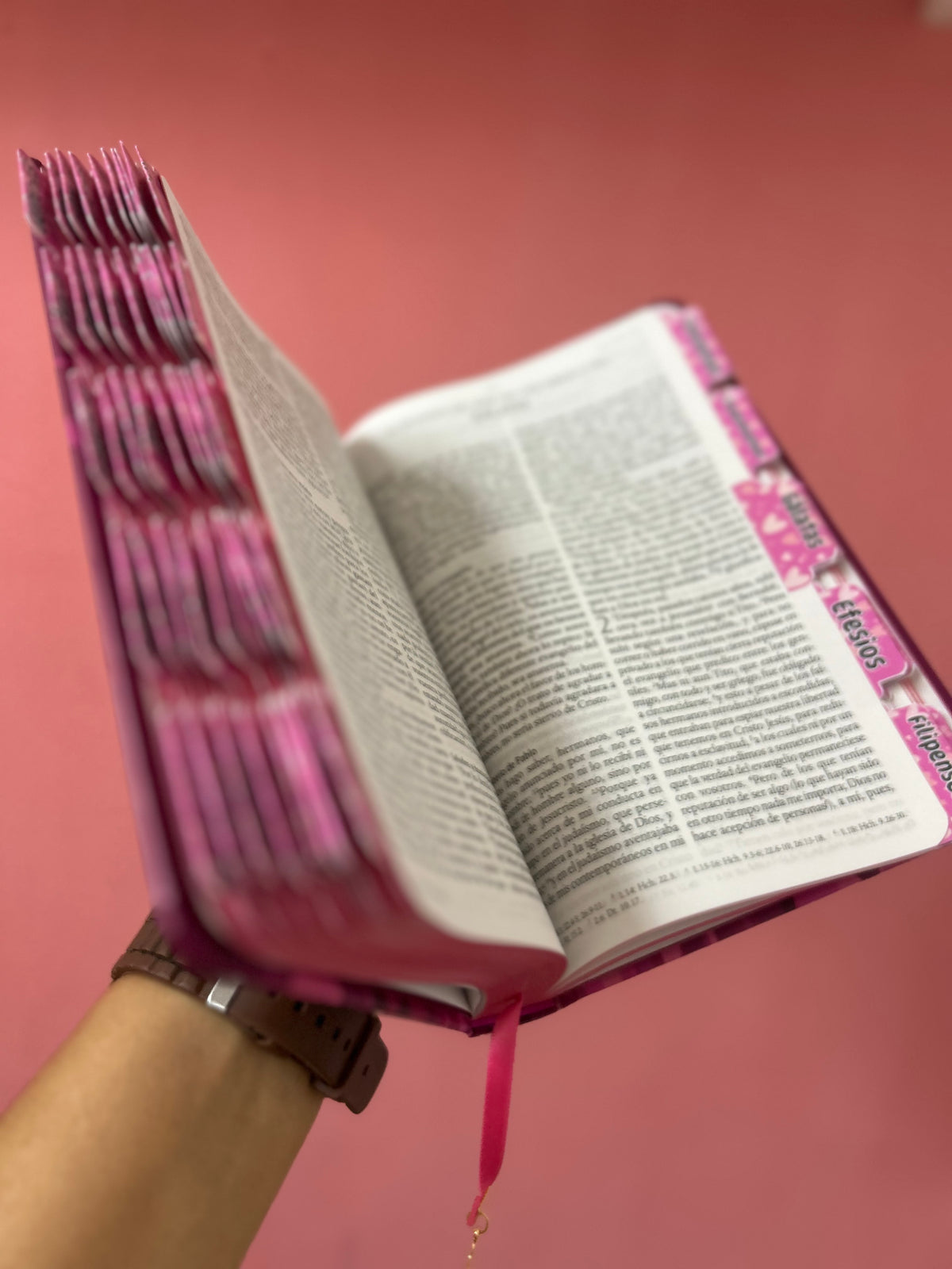 Biblia RV1960 tapa dura letra grande 10 puntos + personalizado