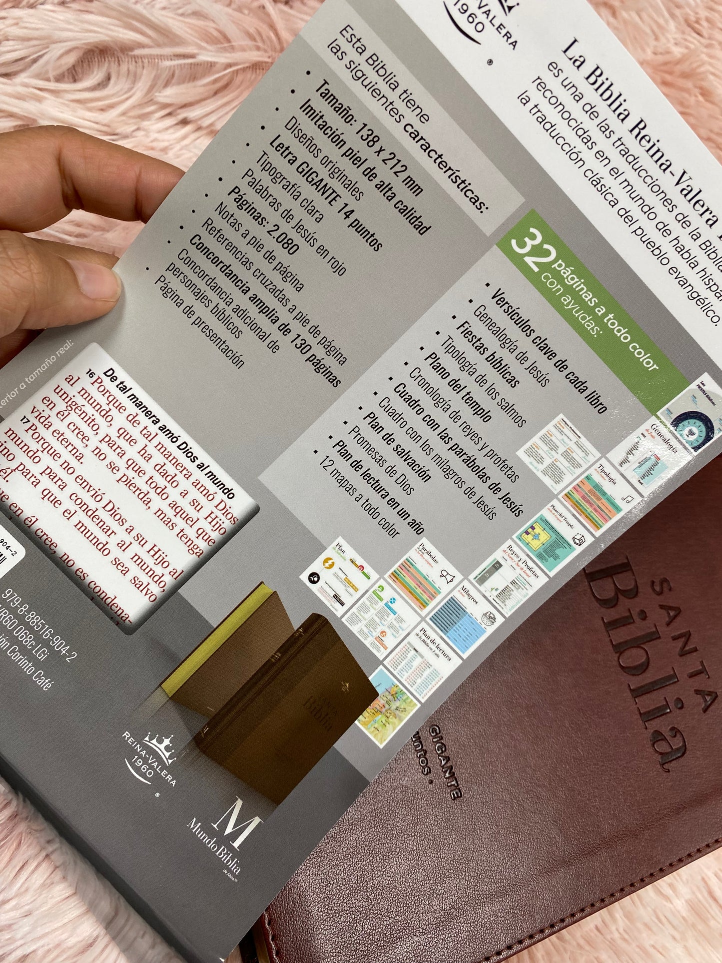 Biblia letra gigante de 14 puntos con canto dorado en símil piel versión RV1960 con concordancia