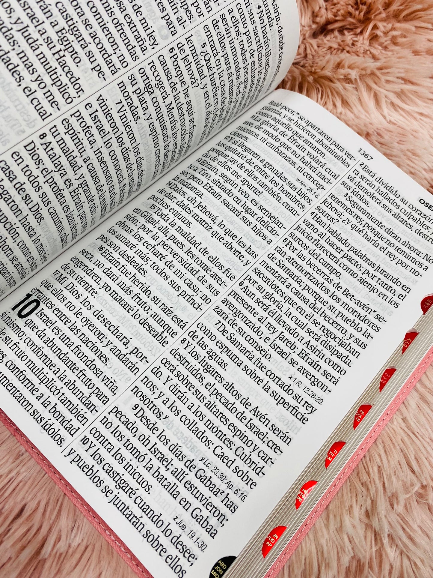 Biblia letra extra gigante 19 puntos con canto plateado e índice símil piel y concordancia