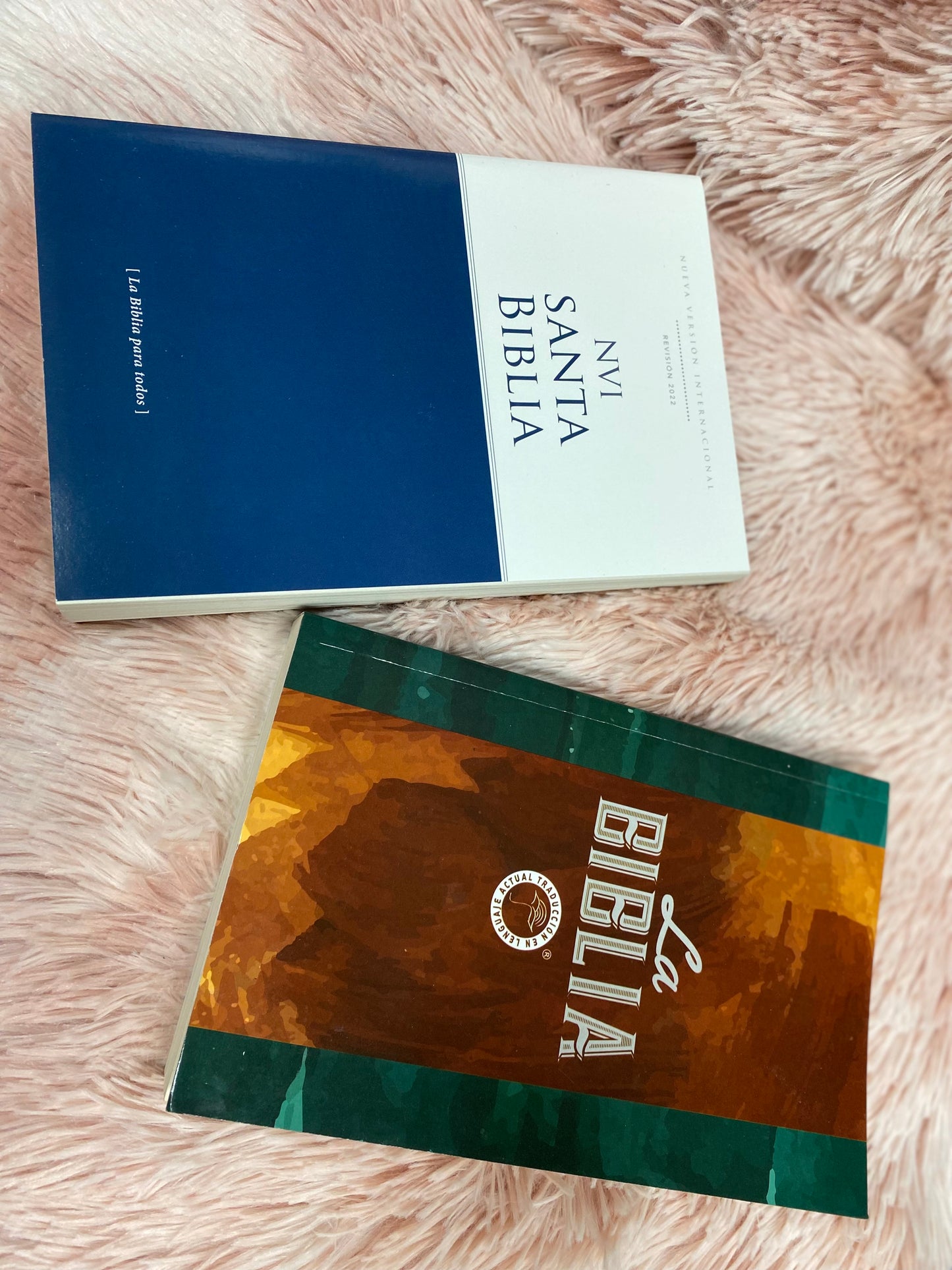 Biblias económicas tapa rústica papel imprenta versión NVI