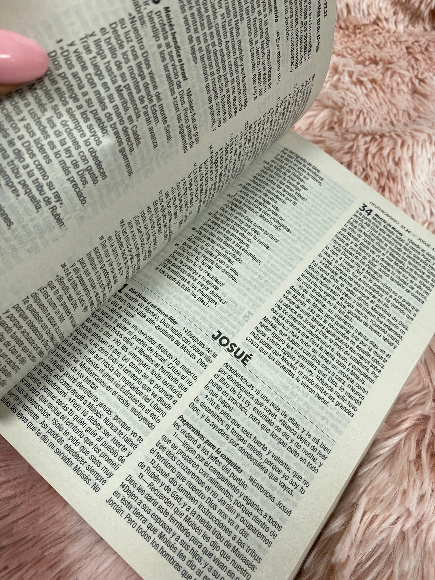 Biblias económicas tapa rústica papel imprenta versión TLA