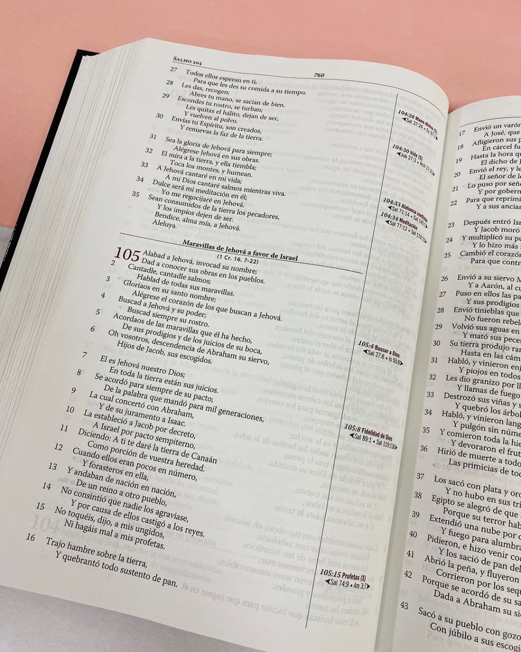 Biblia de estudio Thompson edición especial símil piel y canto plateado