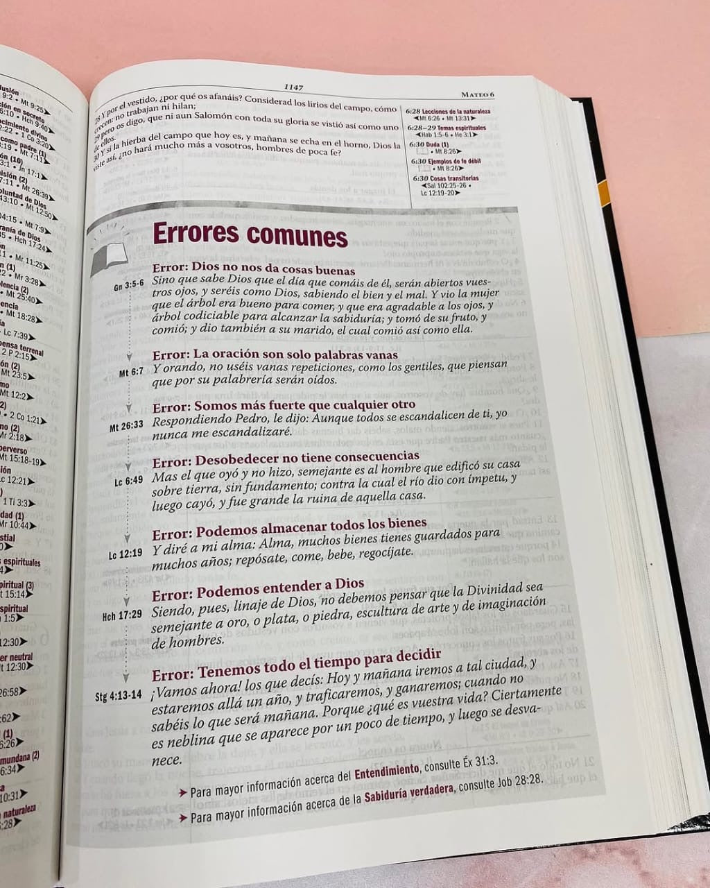 Biblia de estudio Thompson edición especial en símil piel con canto plateado