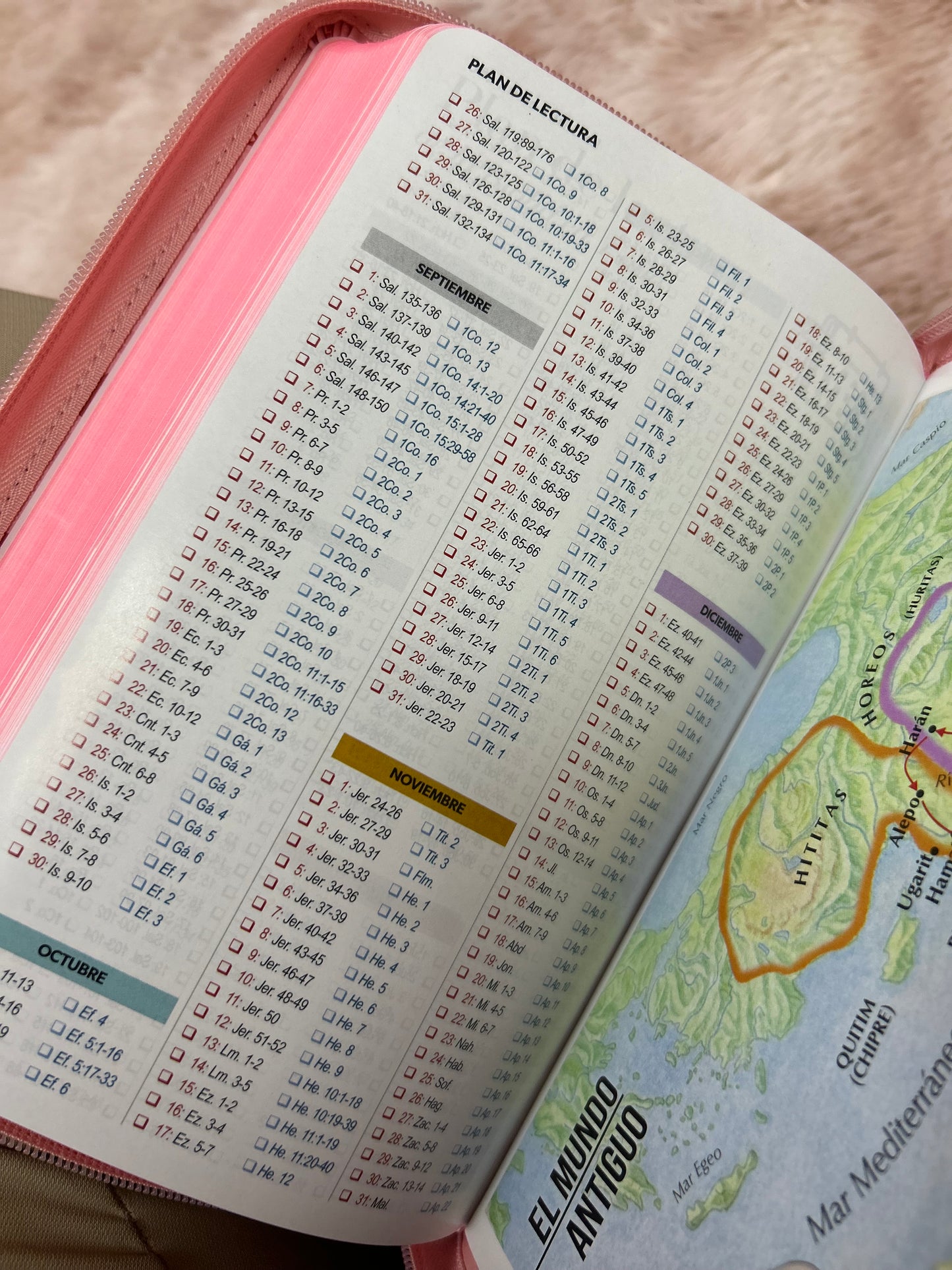 Biblia de letra grande 11,5 puntos con cierre en símil piel canto pintado palabras de Jesús en rojo y concordancia