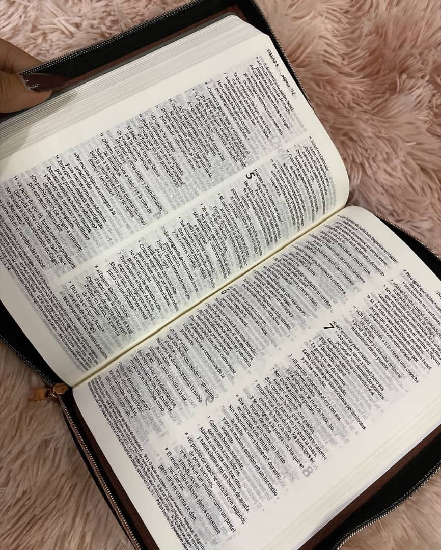 Biblia ultra delgada en versión NTV letra mediada con cierre palabras de Jesús en rojo