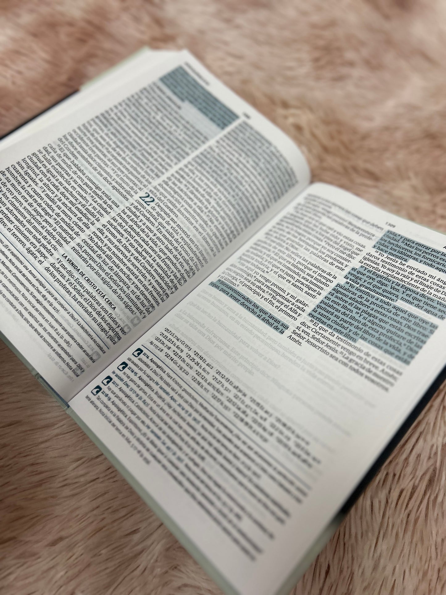 Biblia del pescador letra grande en tapa dura versión RV1960