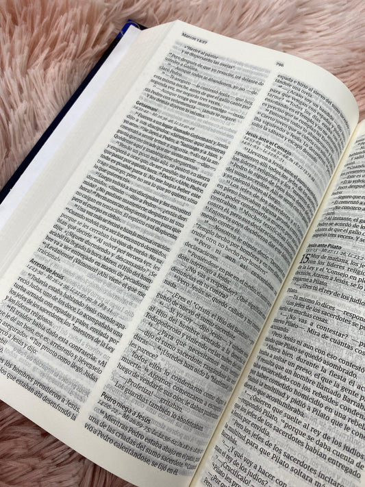 Biblia versión NVI tapa rústica letra mediana