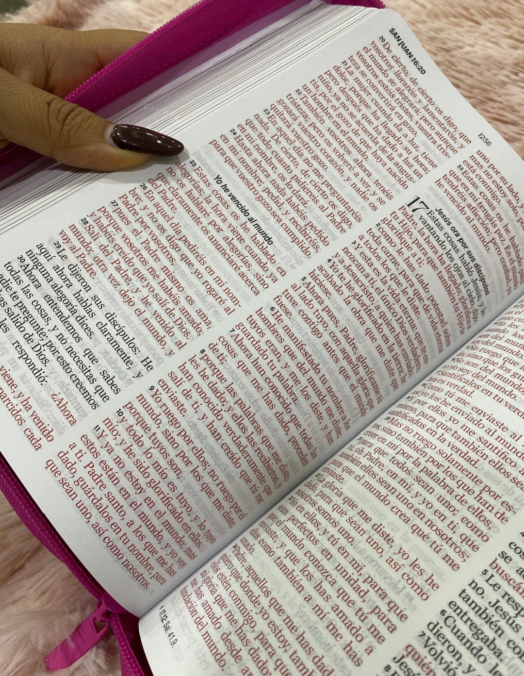 Biblia de héroes para niñas con caricaturas letra grande versión RV1960 y cierre