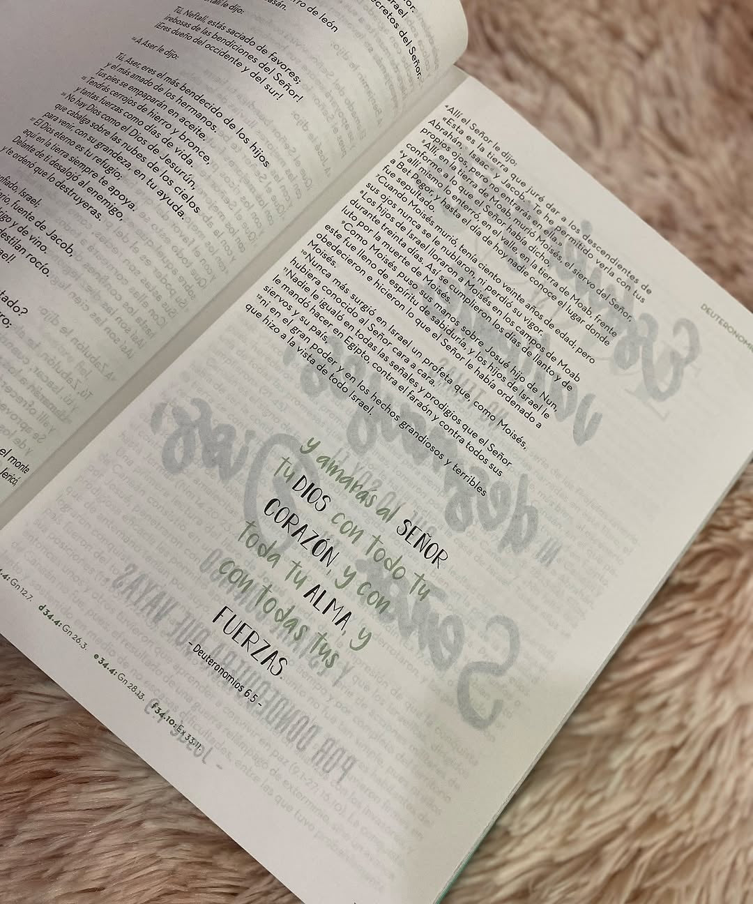 Biblia artística de apuntes con ilustraciones y devocionales para un año en versión RVC letra mediana