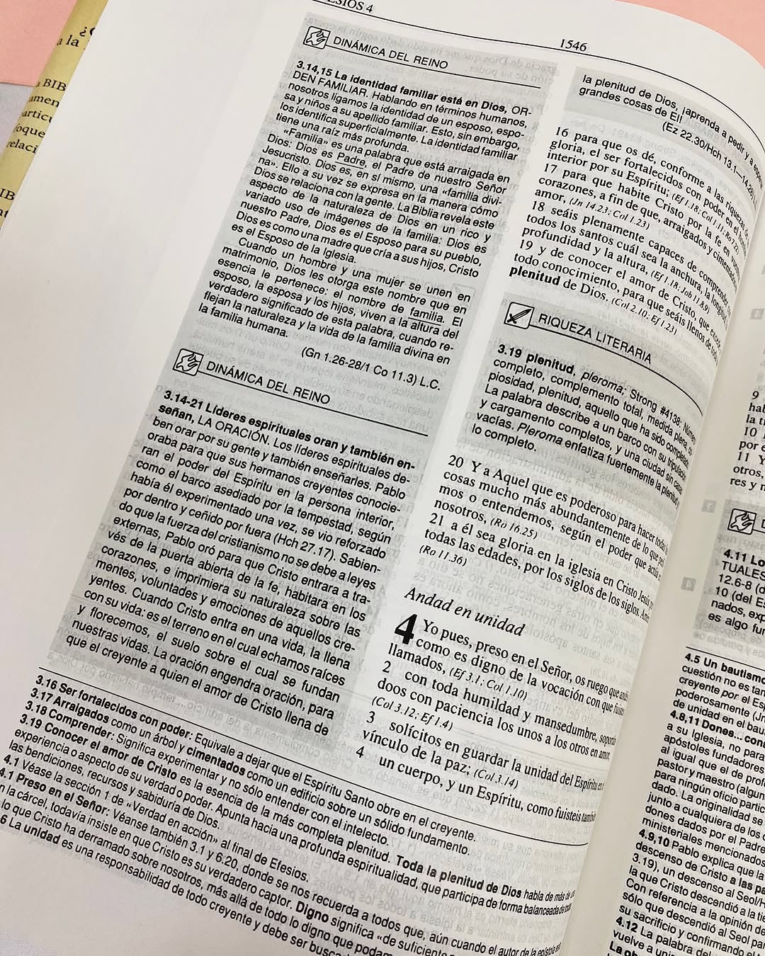 Biblia de estudio plenitud en tapa dura versión RV1960 letra mediana