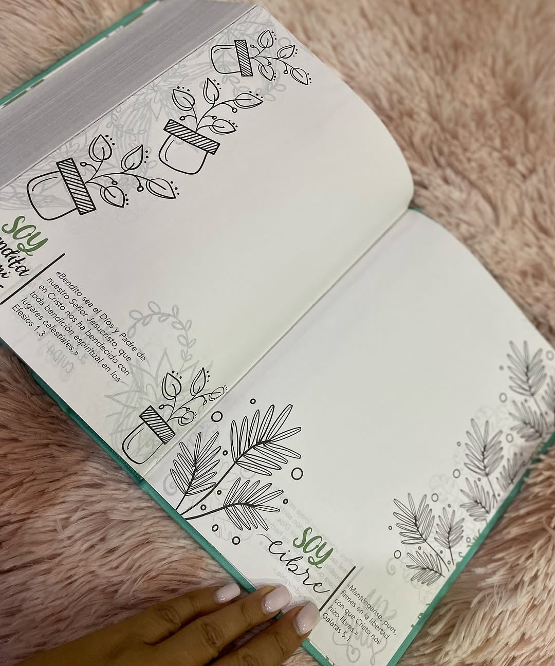 Biblia artística de apuntes con ilustraciones y devocionales para un año en versión RVC letra mediana
