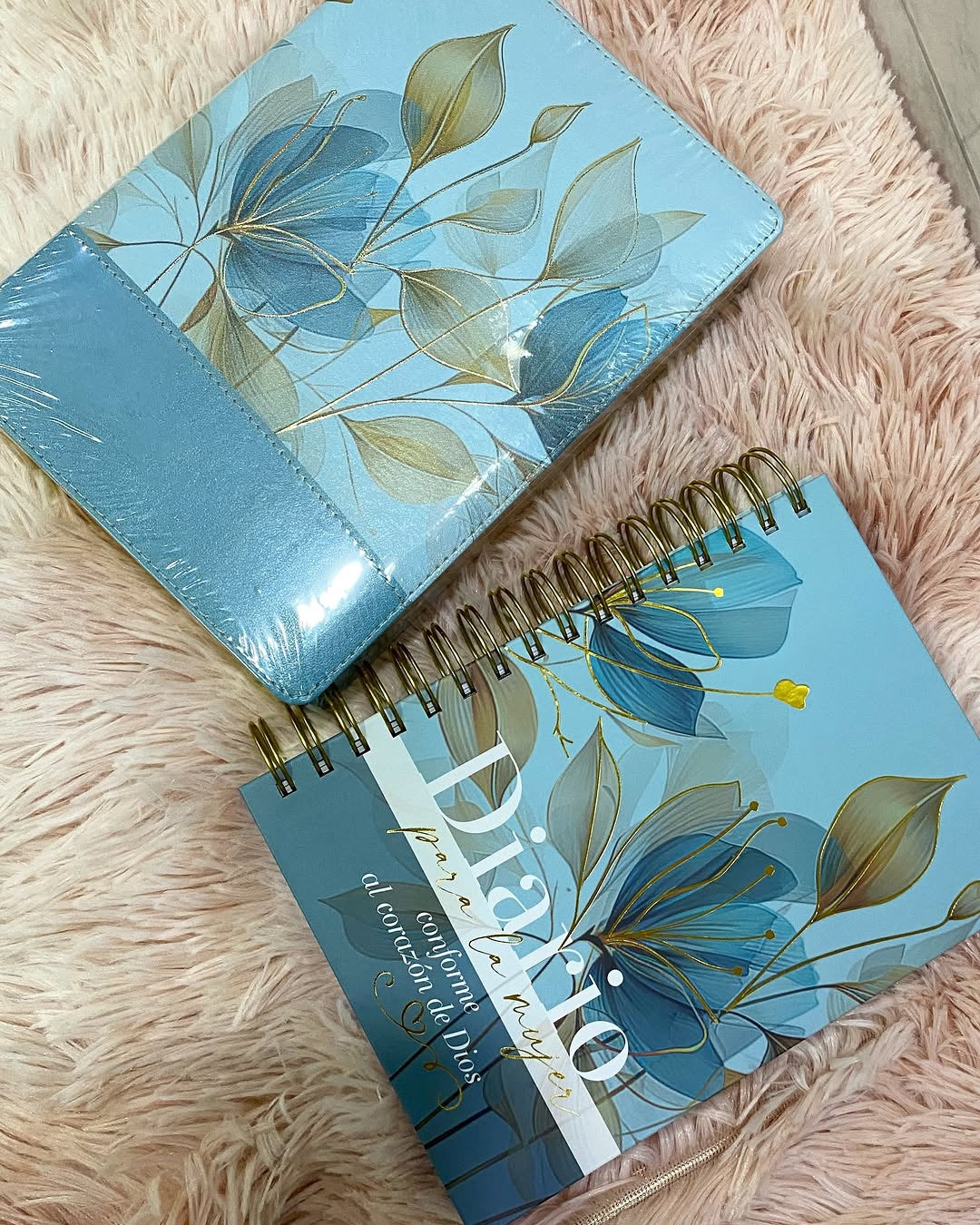 Diario devocional de la mujer conforme al corazón de Dios