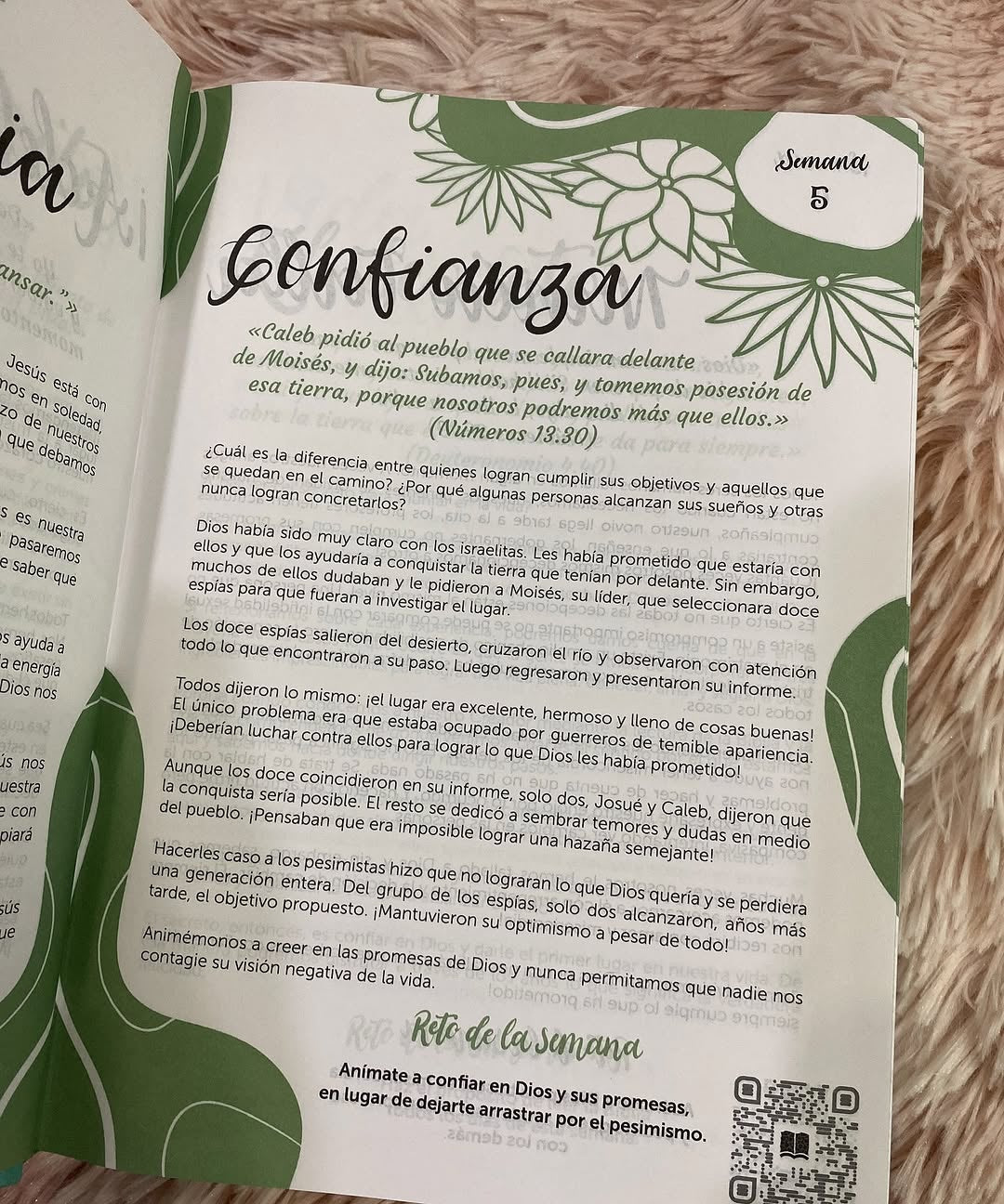 Biblia artística de apuntes con ilustraciones y devocionales para un año en versión RVC letra mediana