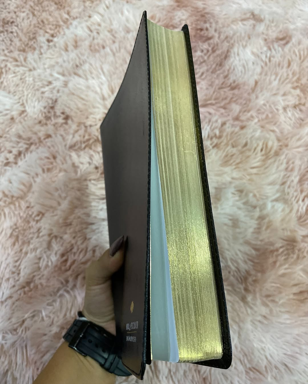 Biblia del pescador edición liderazgo símil piel color negro canto dorado versión RV1960