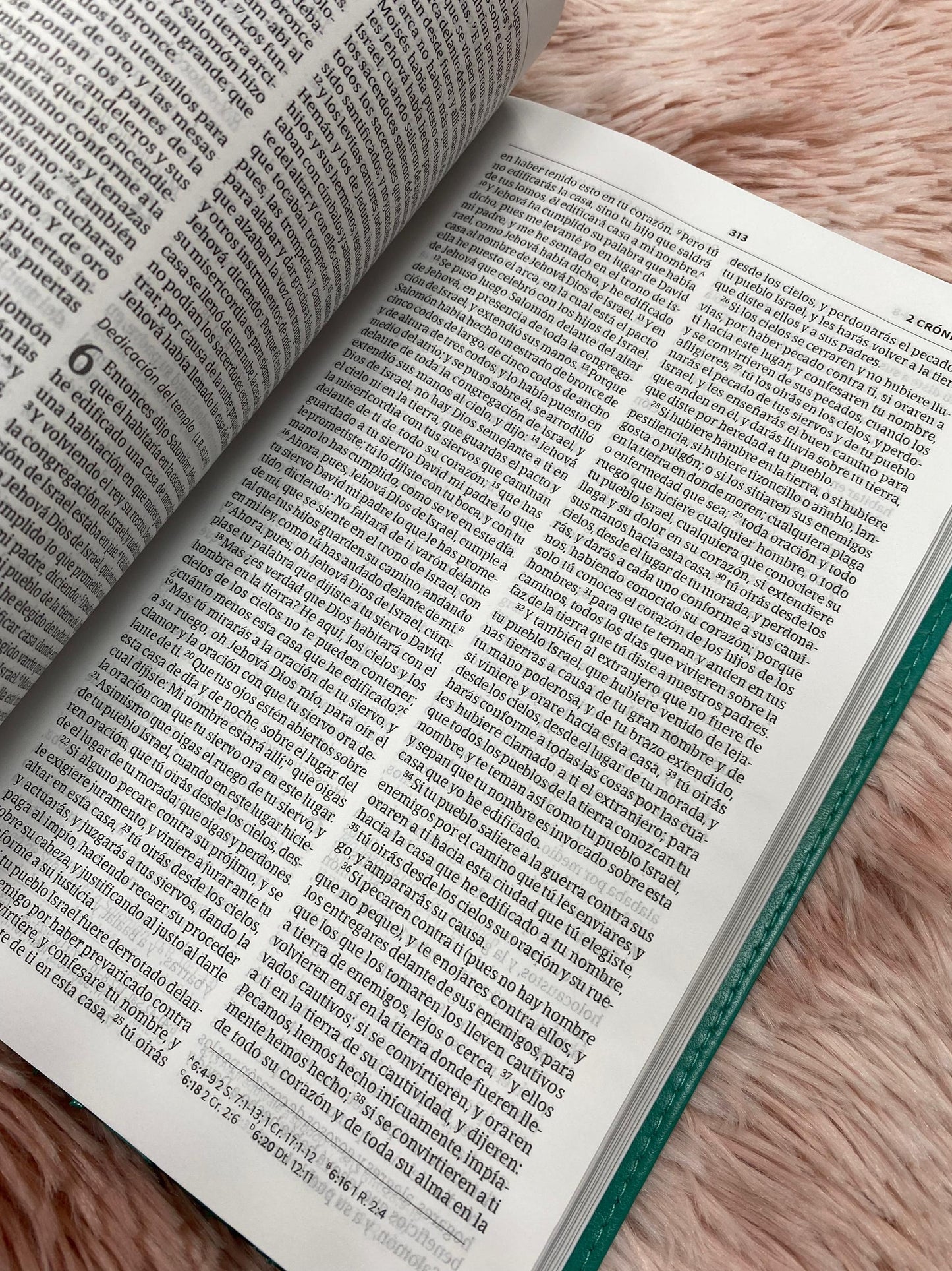 Biblia ultrafina versión RV1960 canto plateado letra pequeña 8,5 puntos concordancia y palabras de Jesús en rojo