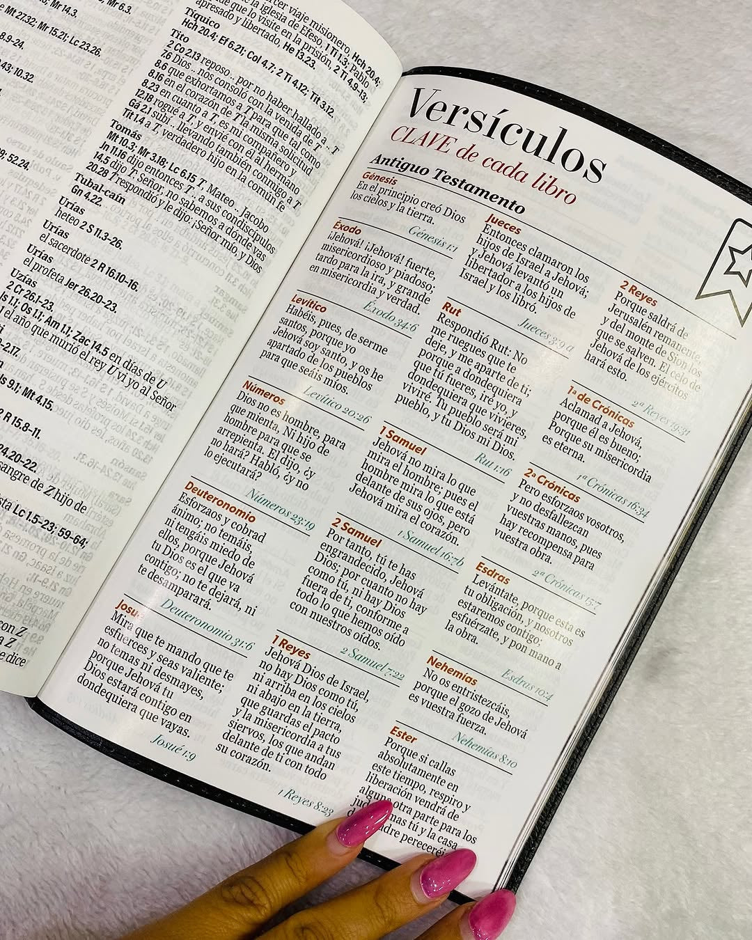 Biblia letra gigante 19 puntos versión RV1960 canto pintado con concordancia
