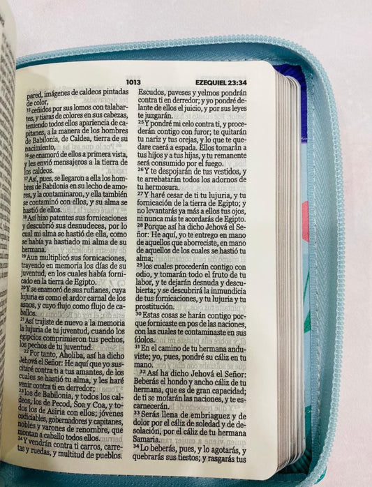 Biblia para niñas rosada ilustrada con cierre versión RV60