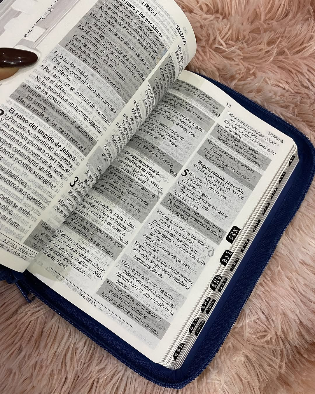 Biblia símil piel edición promesas letra grande 12 puntos con índice y cierre y concordancia
