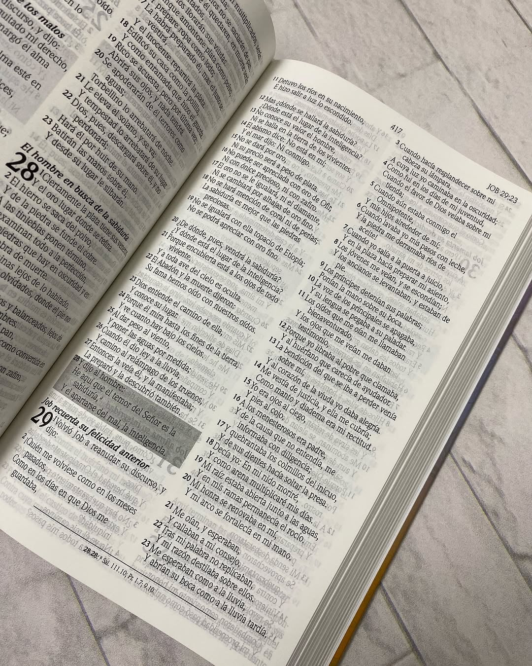 Biblia de promesas para niños ilustrada en tapa dura versión RV60