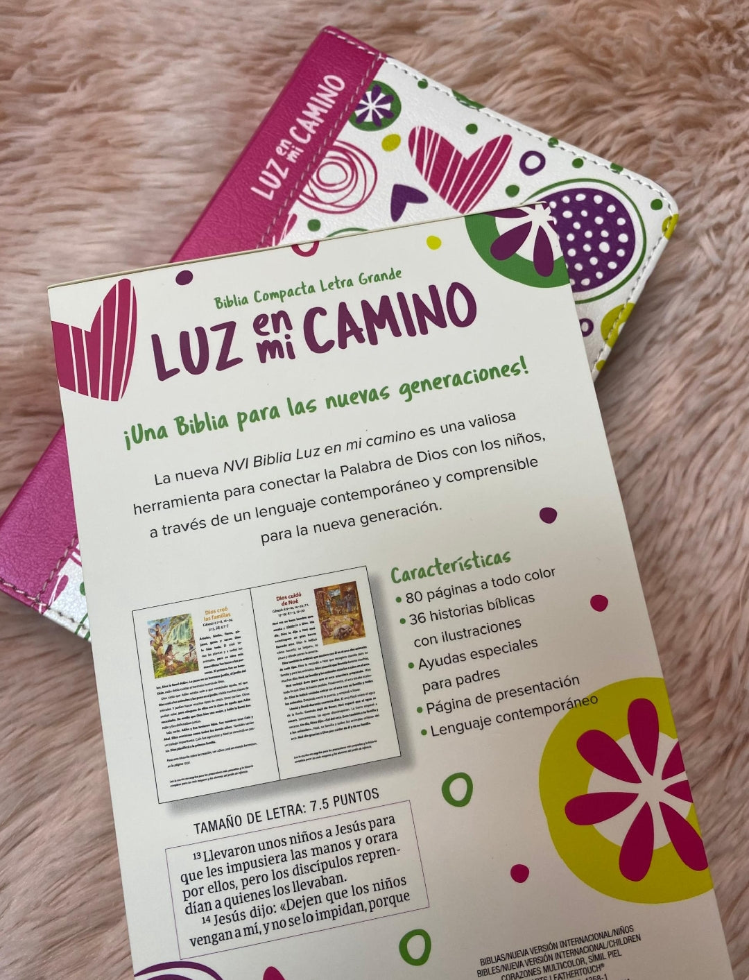 Biblia luz en mi camino versión NVI para jóvenes ilustrada letra mediana 8,5 puntos canto pintado
