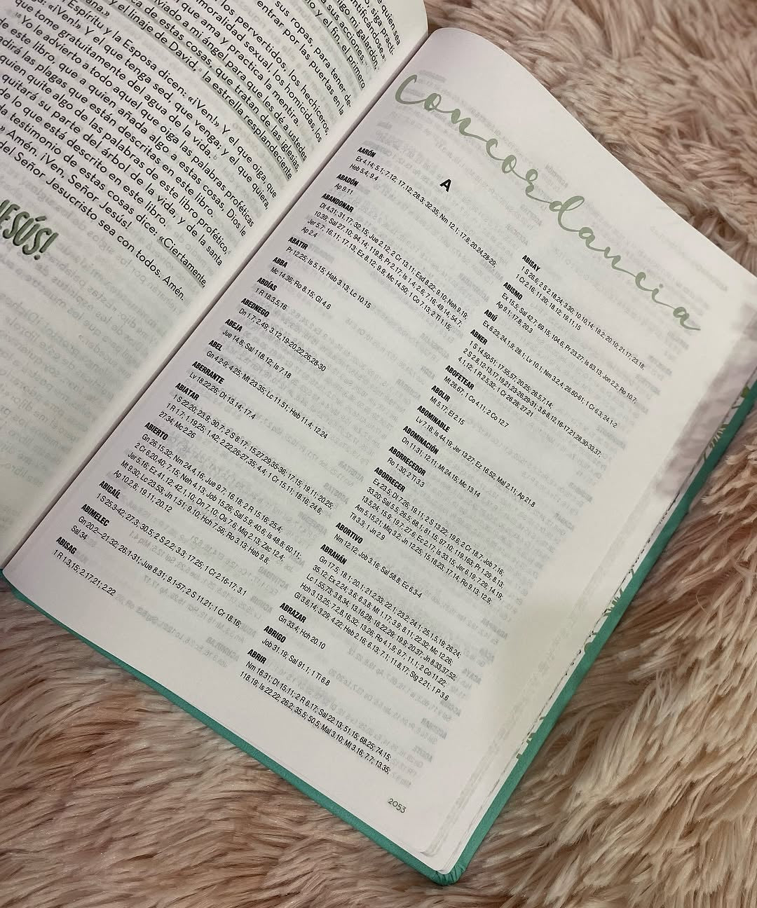 Biblia artística de apuntes con ilustraciones y devocionales para un año en versión RVC letra mediana