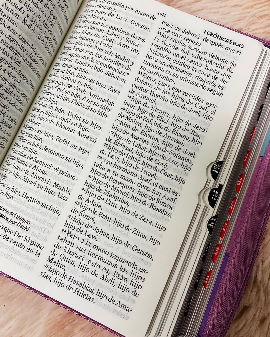 Biblia pequeña letra grande 11 puntos con cierre e índice versión RV60 con concordancia