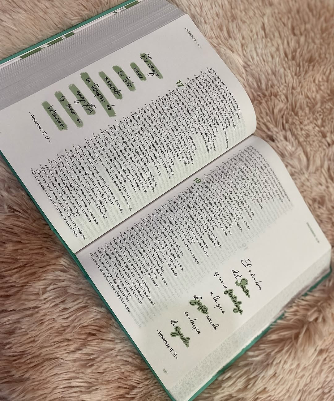 Biblia artística de apuntes con ilustraciones y devocionales para un año en versión RVC letra mediana