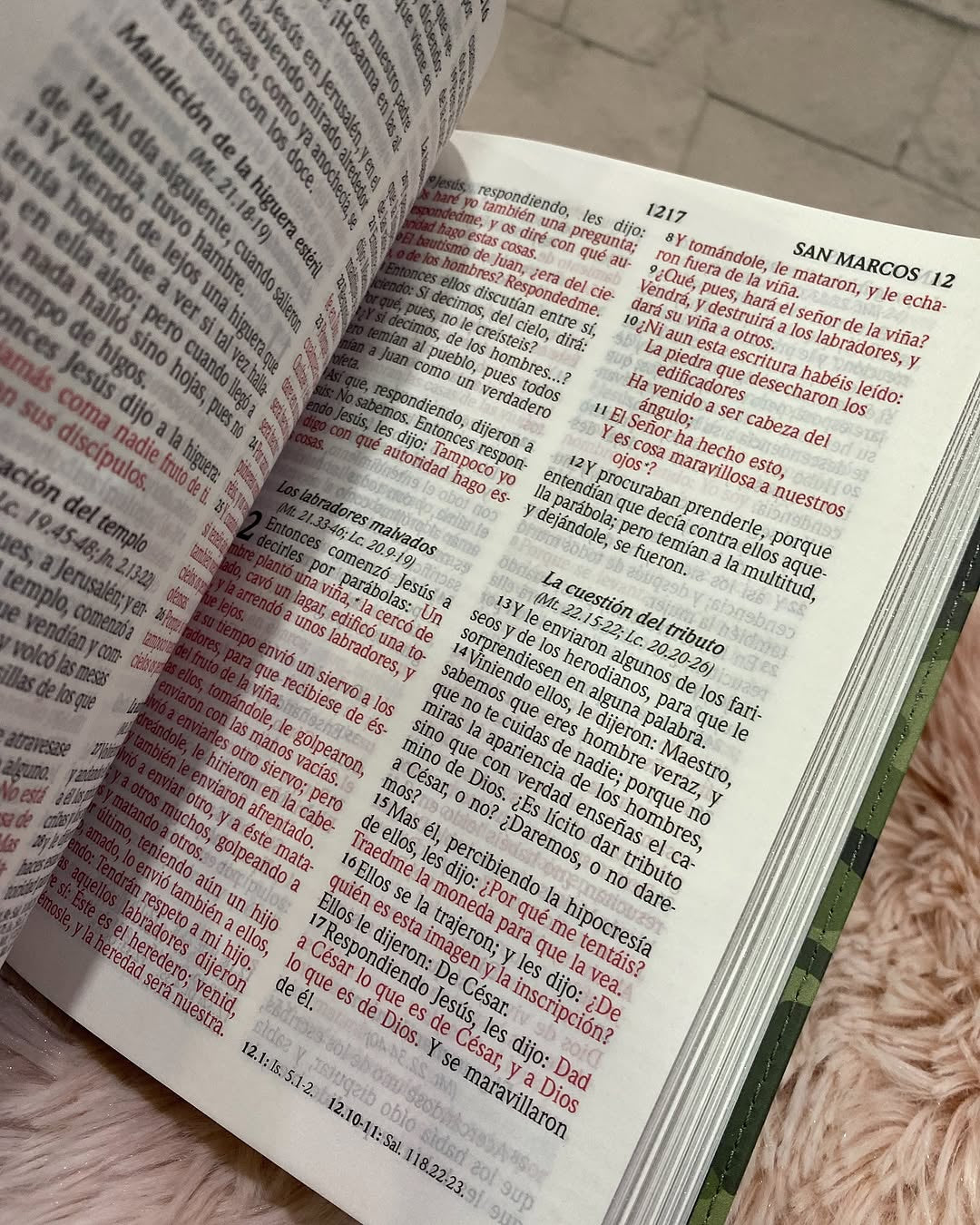 Biblia tamaño mediano letra grande 10 puntos diseño camuflado canto plateado con concordancia