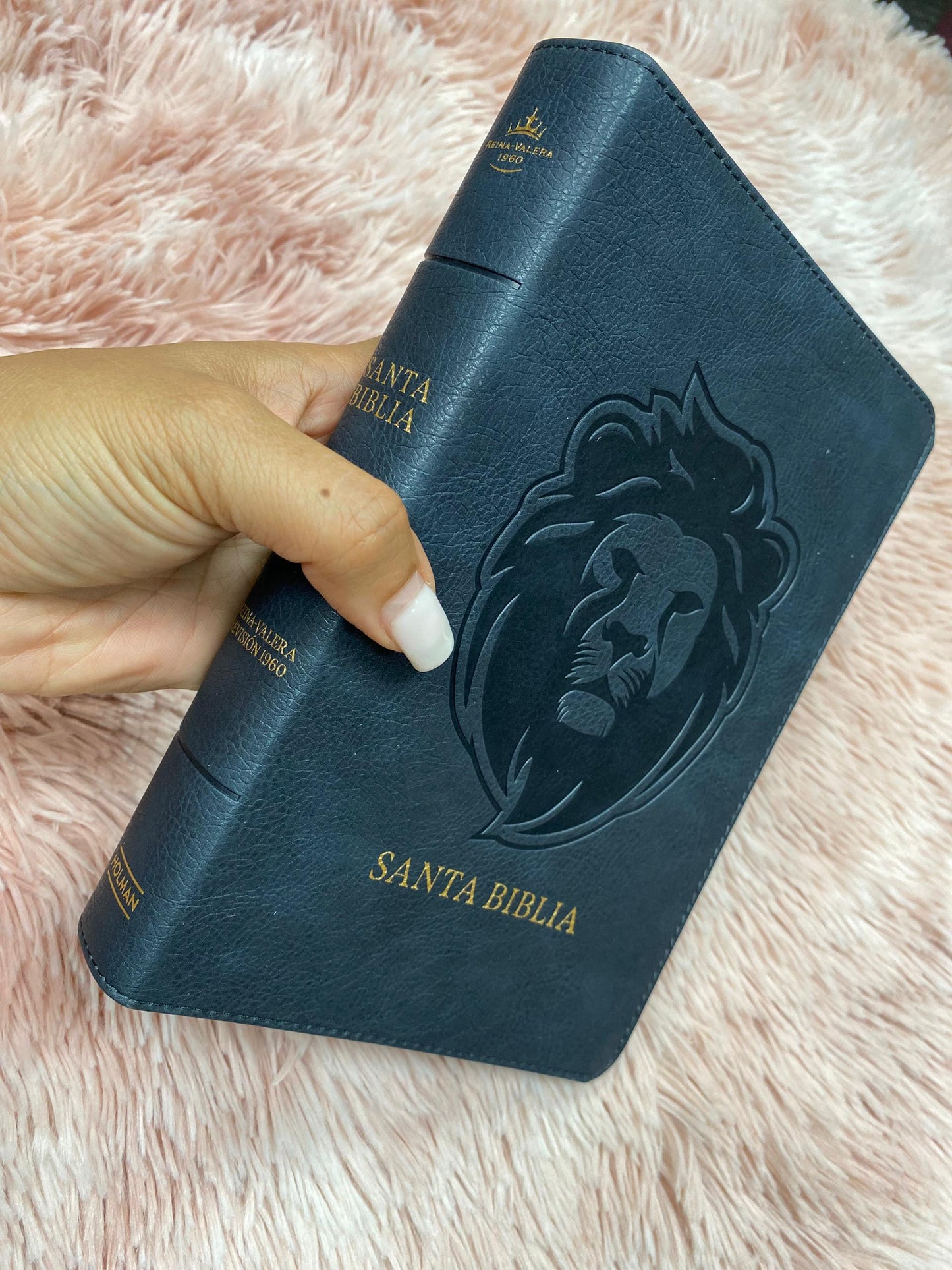 Biblia versión RV1960 letra grande 12 puntos en símil piel canto plateado tamaño manual con concordancia