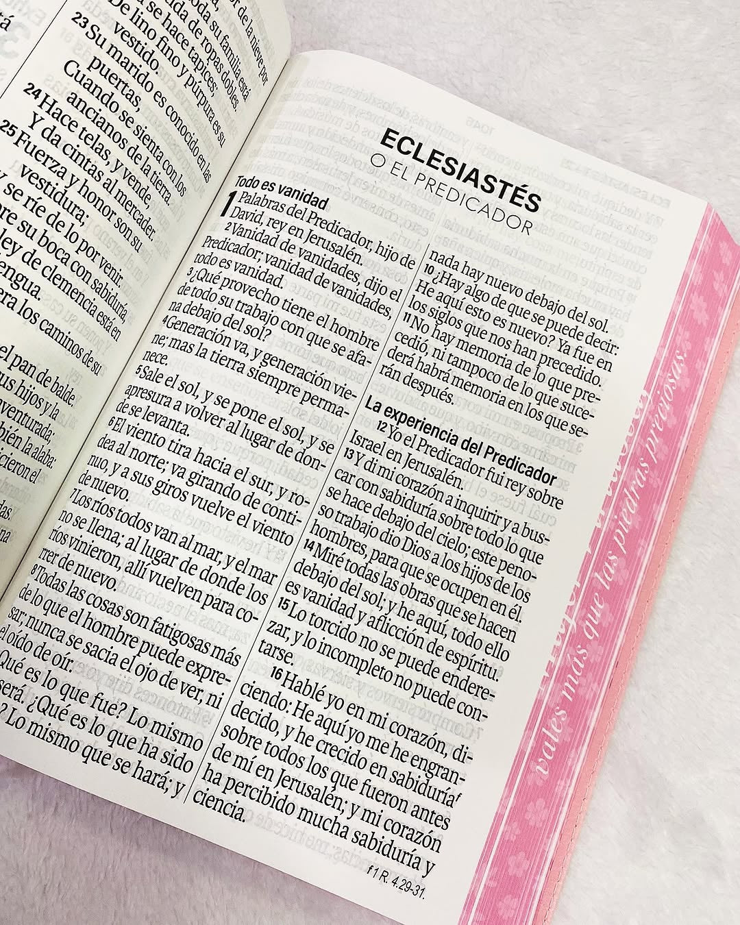 Biblia letra gigante 19 puntos versión RV1960 canto pintado con concordancia